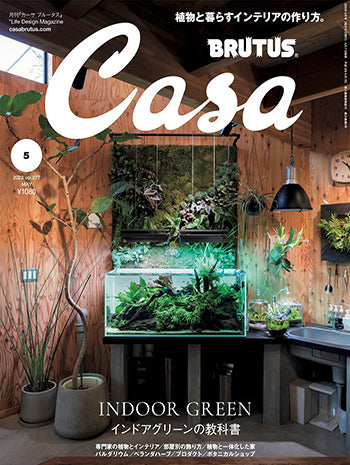 CASABRUTUS NO,277