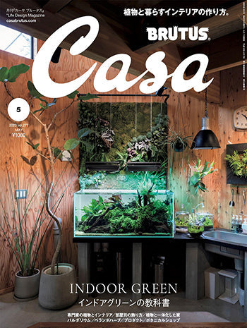 CASABRUTUS NO.277